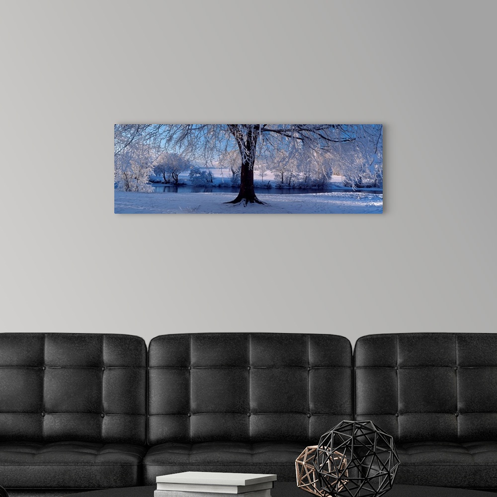 A modern room featuring Panoramic size wall art of a tree covered in snow and ice in this landscape photograph.