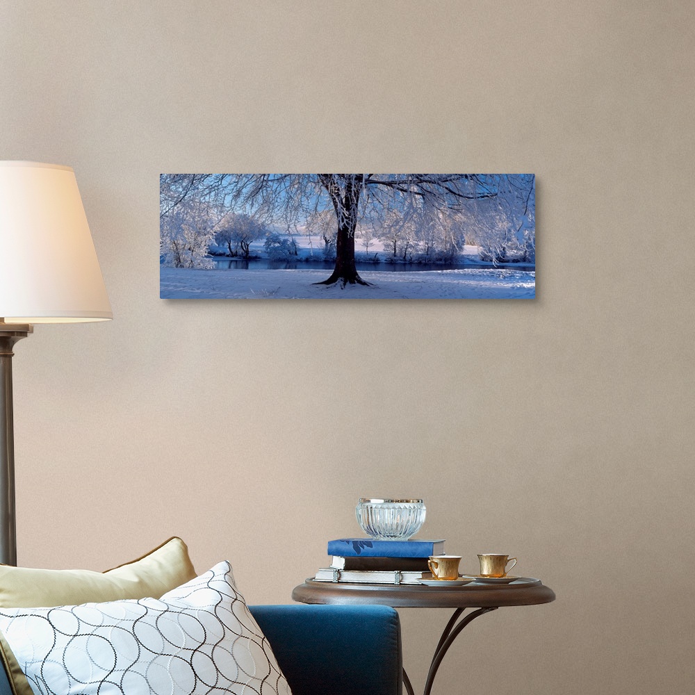 A traditional room featuring Panoramic size wall art of a tree covered in snow and ice in this landscape photograph.