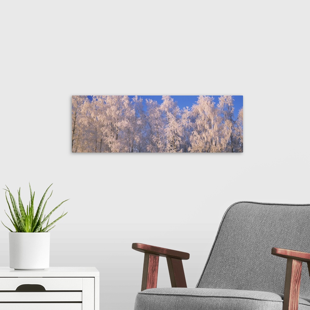 A modern room featuring Winter Trees With Frost AK