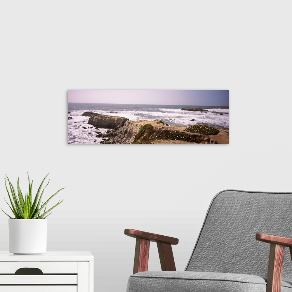 A modern room featuring Woman taking a photograph of the coastline, San Mateo County, California,