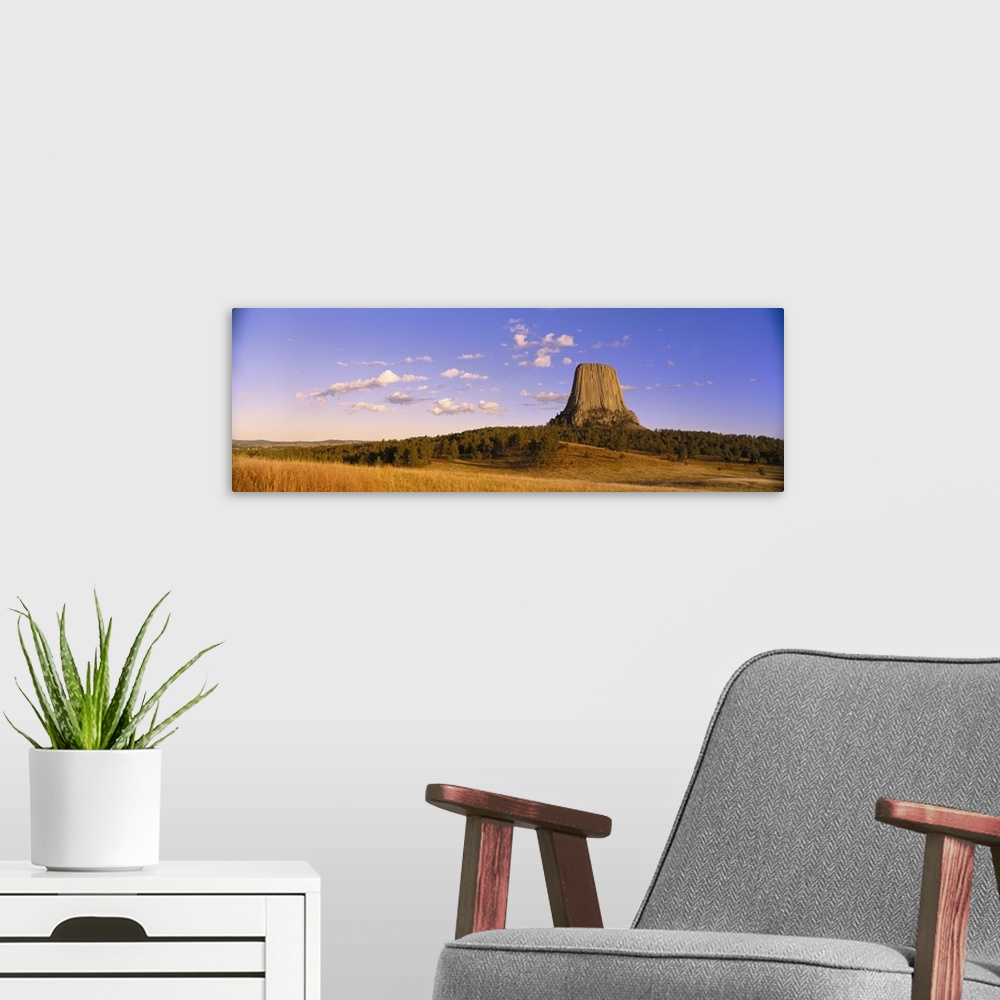 A modern room featuring Wyoming, Devil's Tower National Monument