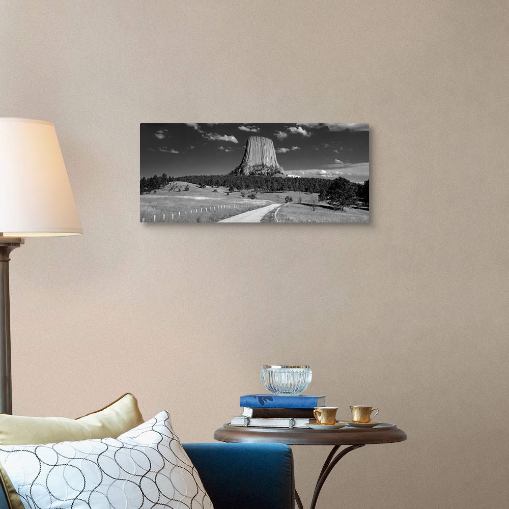 A traditional room featuring Wyoming, Devils Tower National Monument, Low angle view of a natural rock formation (Black And Wh...