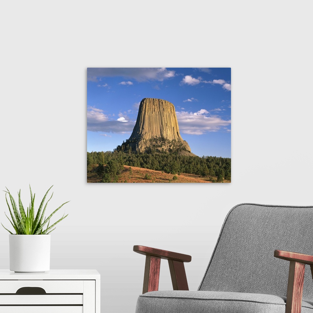 A modern room featuring Wyoming, Devil's Tower National Monument, Panoramic view of the national monument