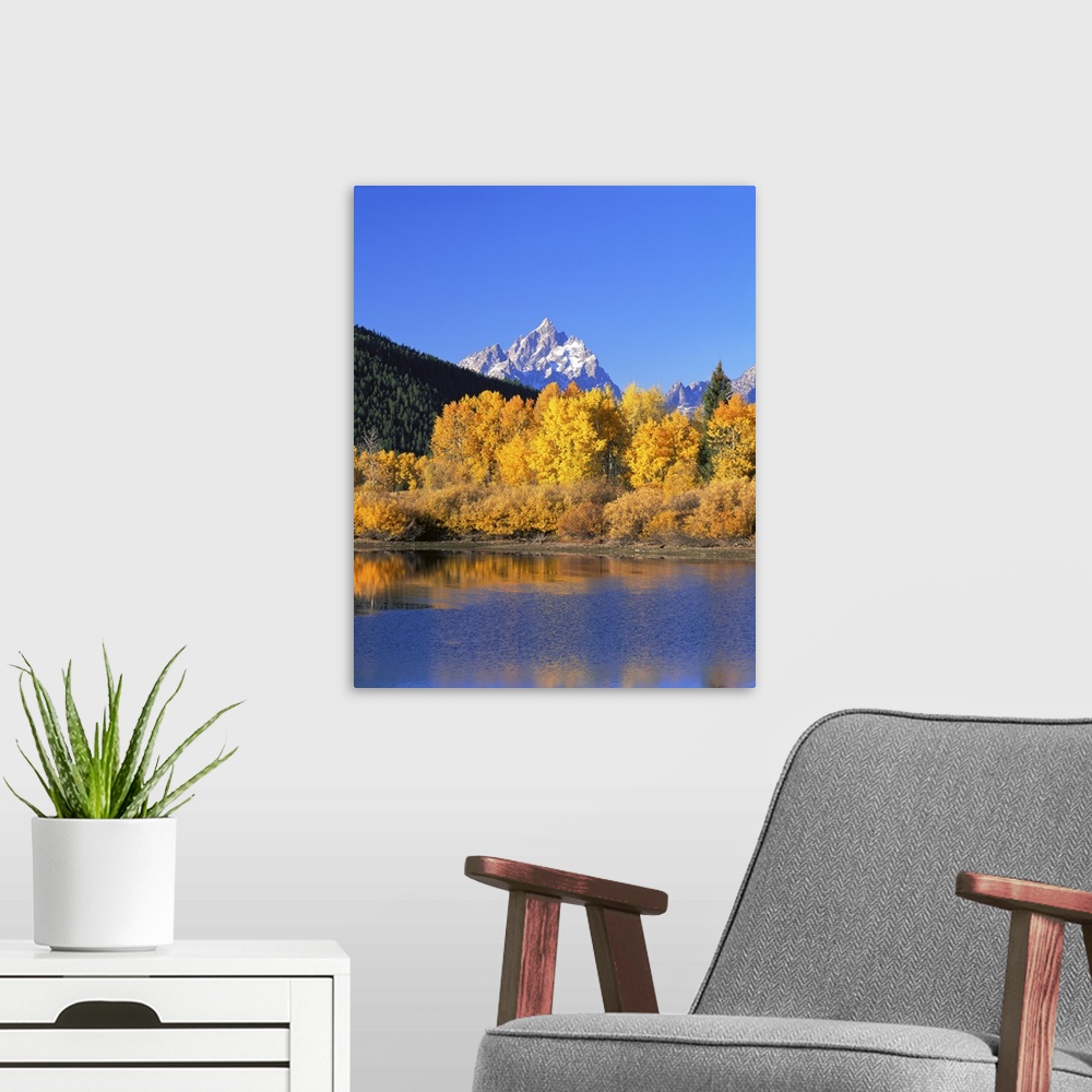 A modern room featuring Wyoming, Grand Teton National Park