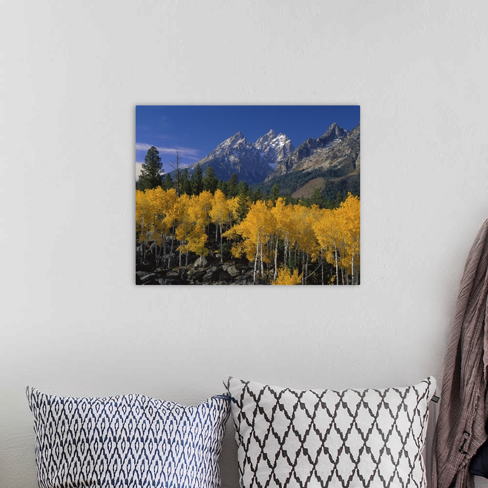 A bohemian room featuring Large canvas photo art of rugged pointy mountains with golden trees in the foreground.