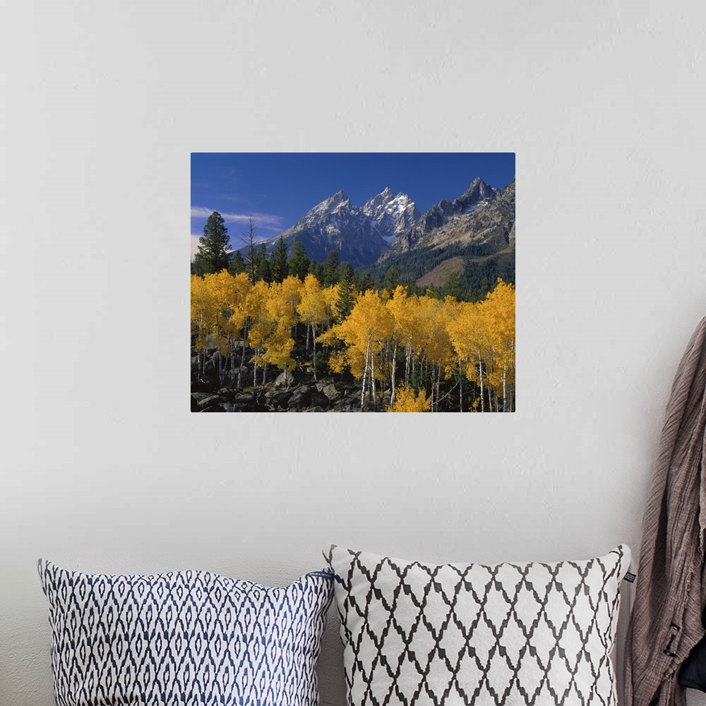 A bohemian room featuring Large canvas photo art of rugged pointy mountains with golden trees in the foreground.