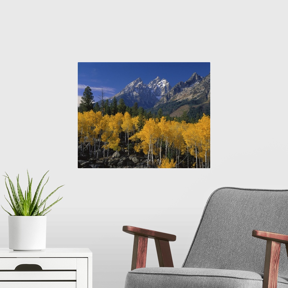 A modern room featuring Large canvas photo art of rugged pointy mountains with golden trees in the foreground.
