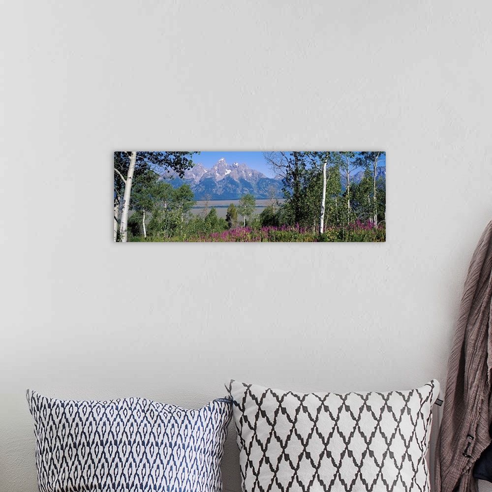 A bohemian room featuring Panoramic photograph of grass, tree, and flower filled landscape with rocky and snow capped mount...