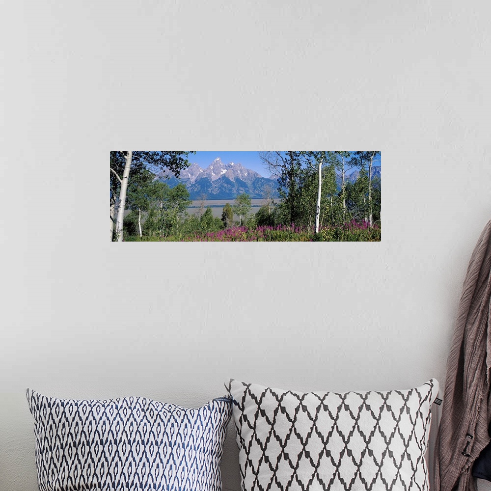 A bohemian room featuring Panoramic photograph of grass, tree, and flower filled landscape with rocky and snow capped mount...