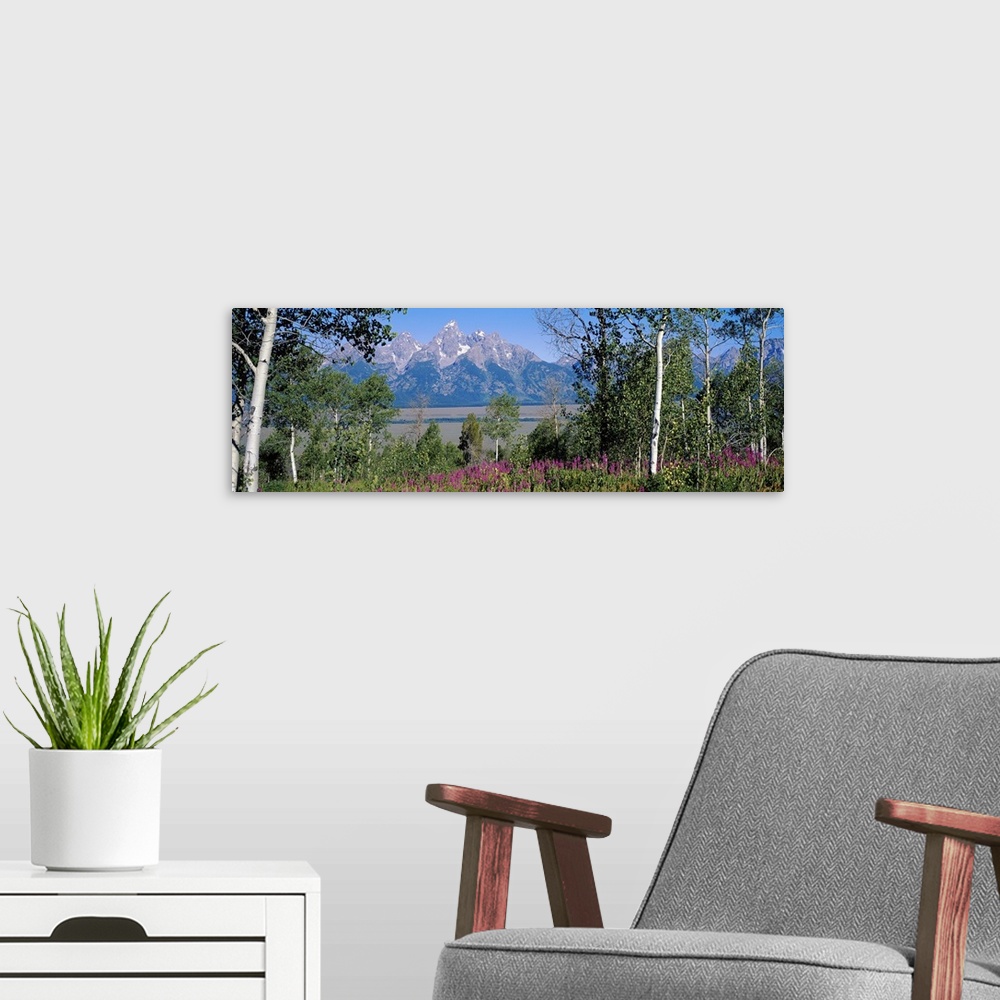 A modern room featuring Panoramic photograph of grass, tree, and flower filled landscape with rocky and snow capped mount...