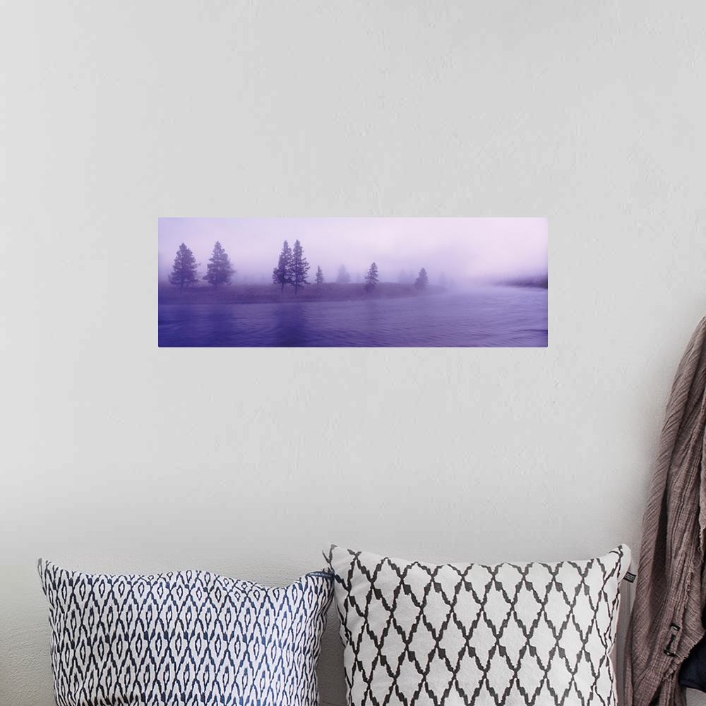A bohemian room featuring Wyoming, View of trees lining a misty river