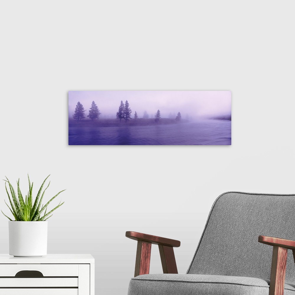A modern room featuring Wyoming, View of trees lining a misty river