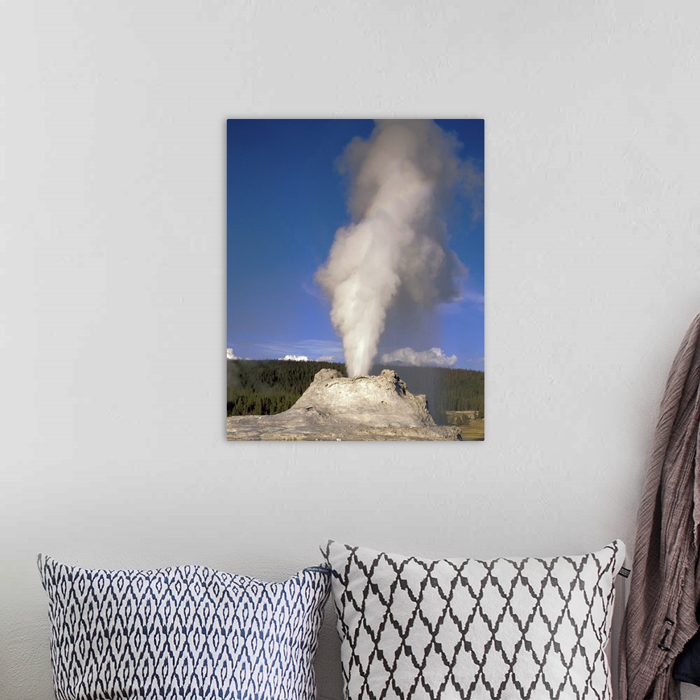 A bohemian room featuring Wyoming, Yellowstone National Park, Castle Geyser, Steam erupting from the thermal pool
