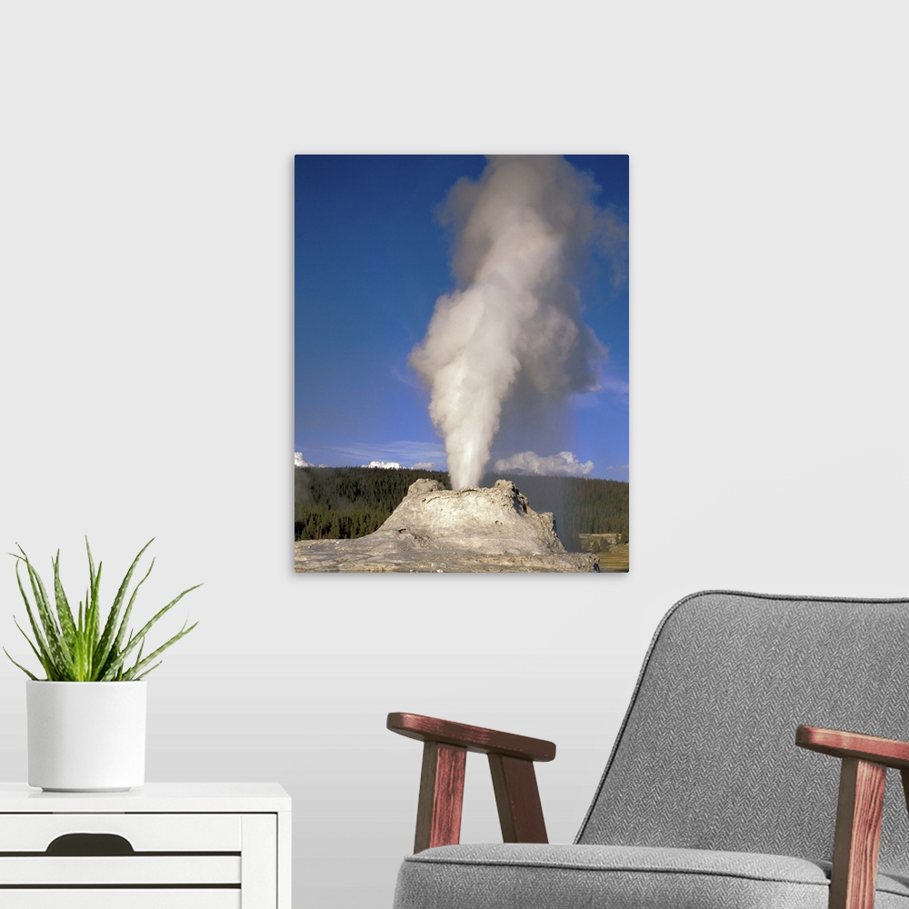 A modern room featuring Wyoming, Yellowstone National Park, Castle Geyser, Steam erupting from the thermal pool
