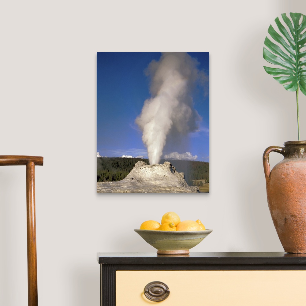 A traditional room featuring Wyoming, Yellowstone National Park, Castle Geyser, Steam erupting from the thermal pool
