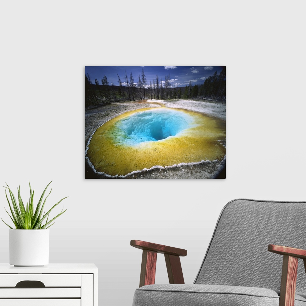 A modern room featuring Horizontal, large photograph of colorful Morning Glory Pool surrounded by forest landscape, in Ye...