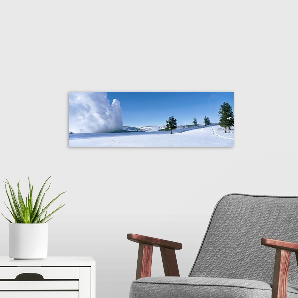 A modern room featuring Wyoming, Yellowstone National Park, Old Faithful Geyser