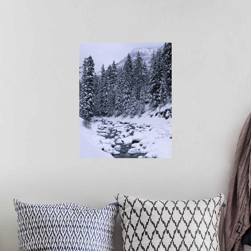 A bohemian room featuring Big, vertical photograph of a small stream of water running through a snow covered landscape, sur...