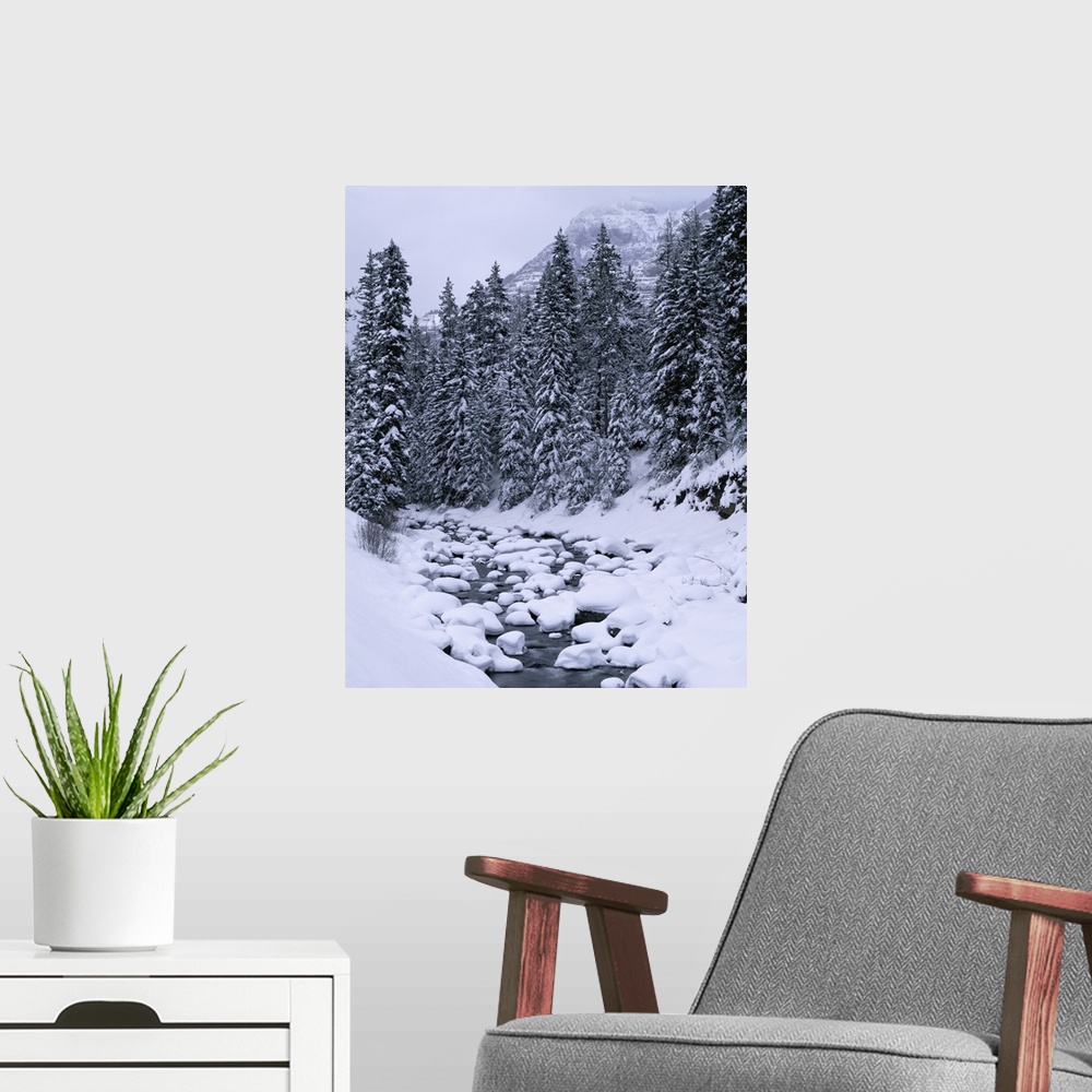 A modern room featuring Big, vertical photograph of a small stream of water running through a snow covered landscape, sur...