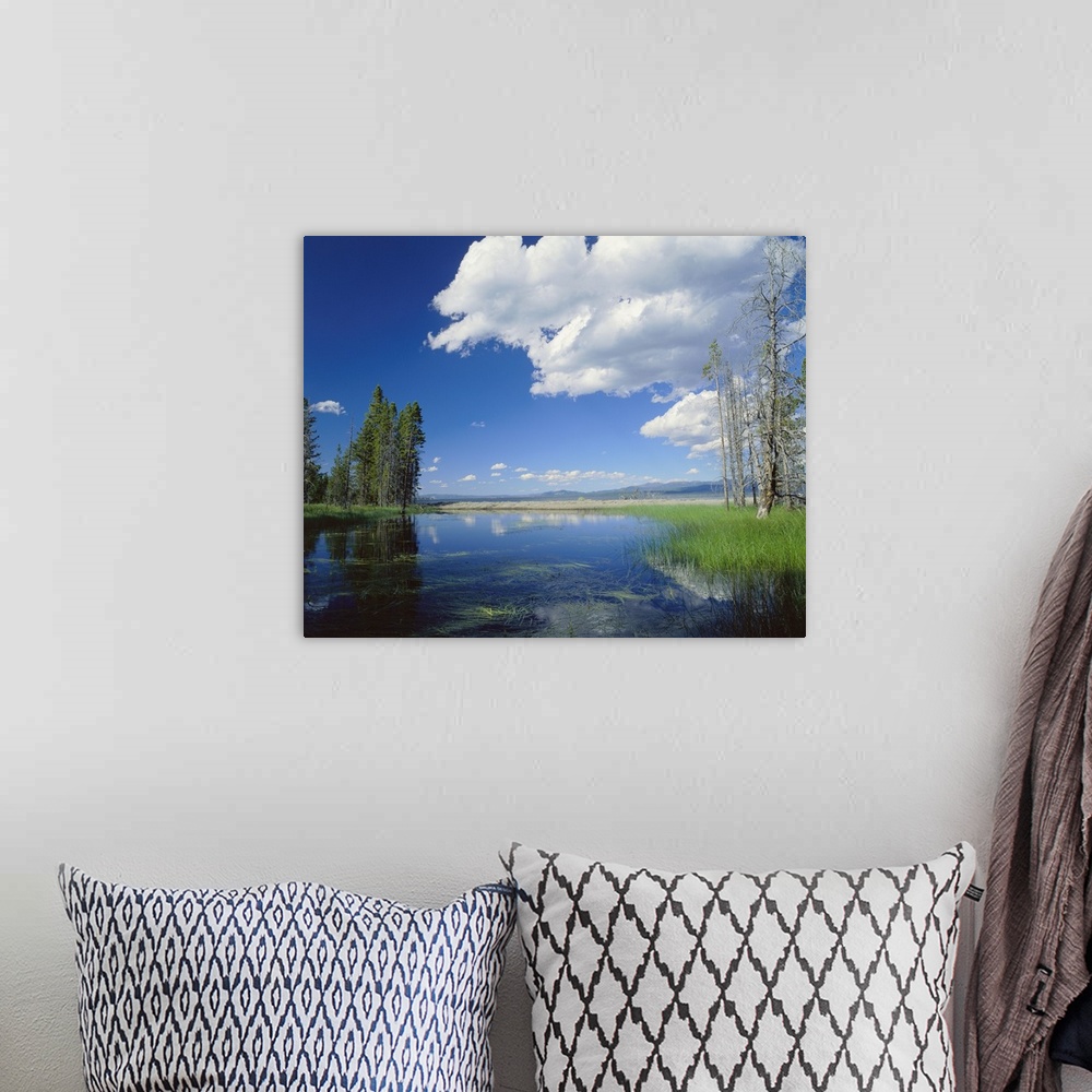 A bohemian room featuring Large photo on canvas of a lake with clouds and a forest reflected in it.