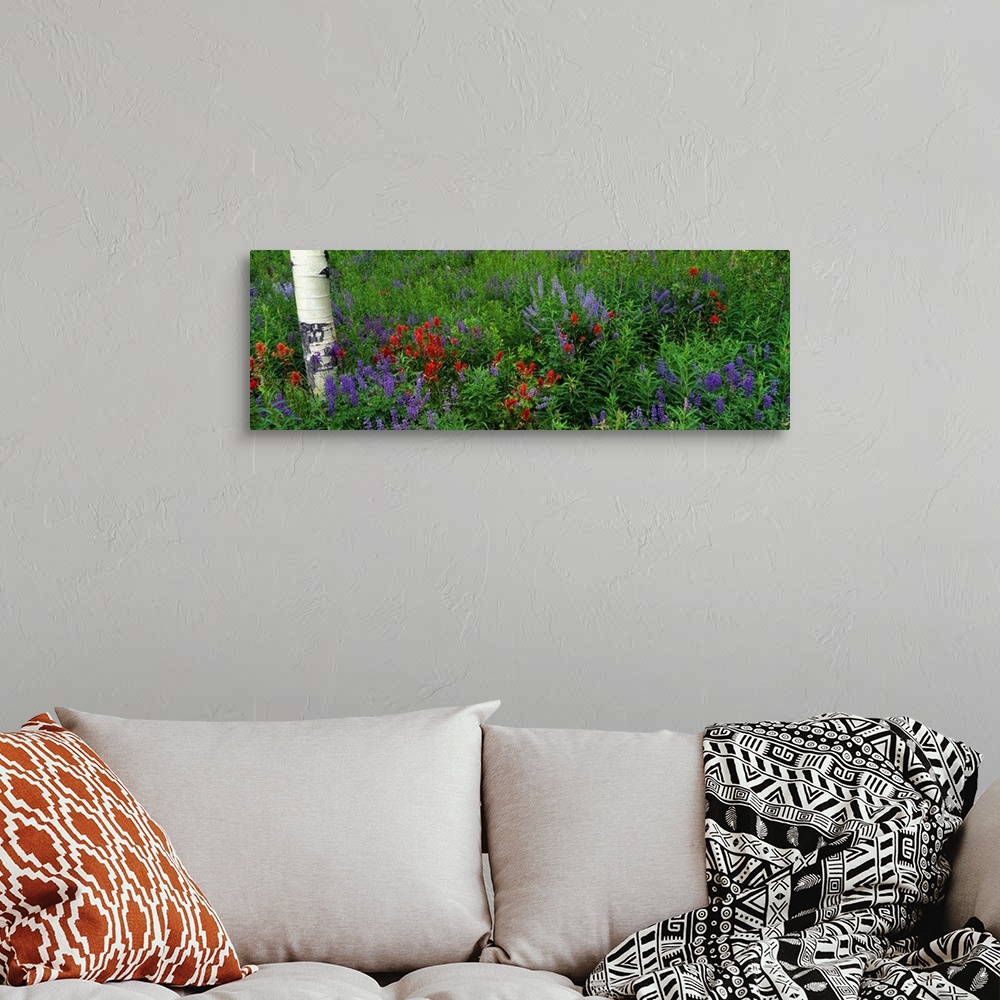 A bohemian room featuring Panoramic photograph taken of wild flowers that have grown around an aspen tree.