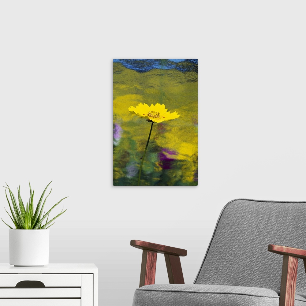 A modern room featuring Yellow Flower In Bloom