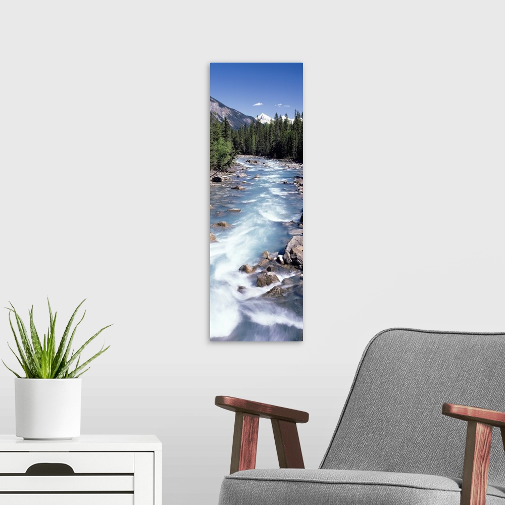 A modern room featuring Yoho River Yoho Provincial Park British Columbia Canada