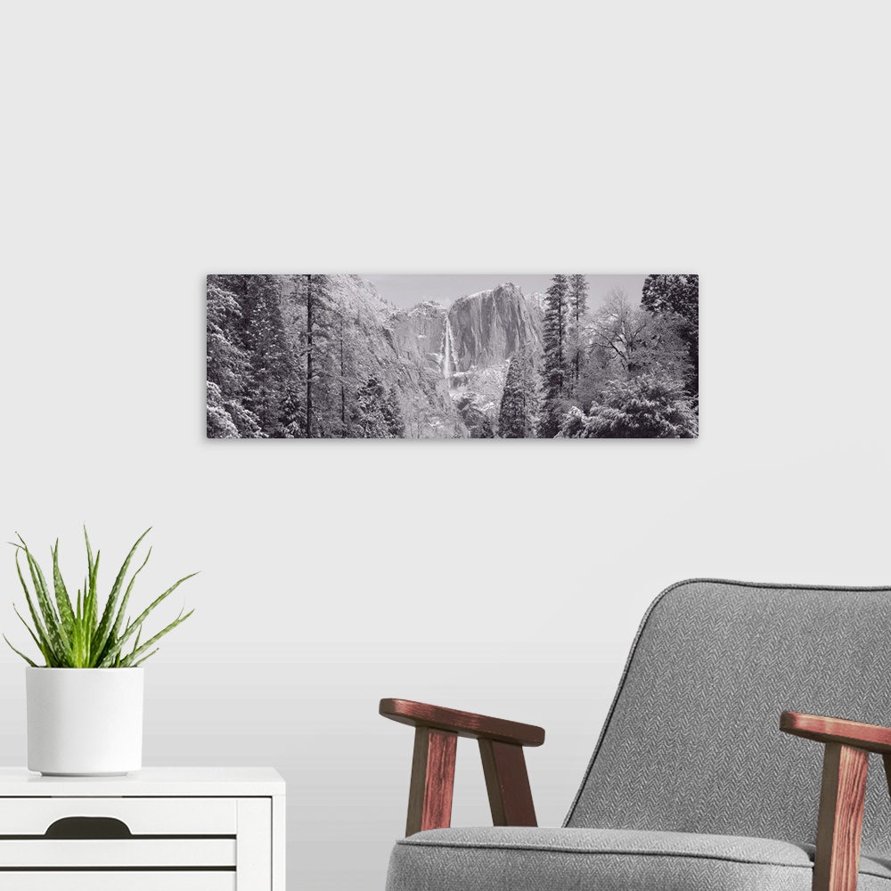 A modern room featuring Photograph of Yosemite Falls in winter with snow covered trees framing the frozen waterfall on th...