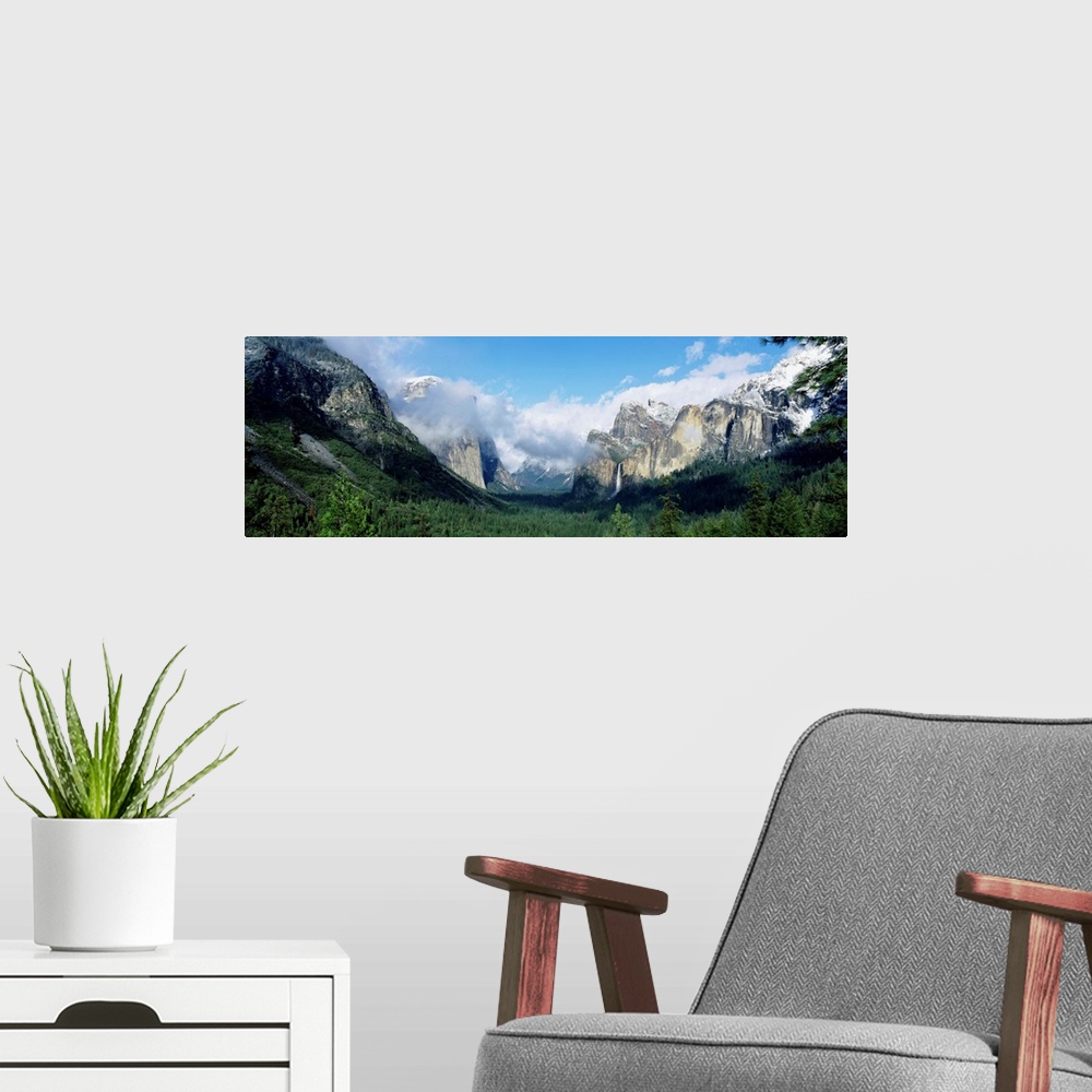 A modern room featuring Panoramic photograph shows a valley in Yosemite National Park filled with a dense forest of trees...