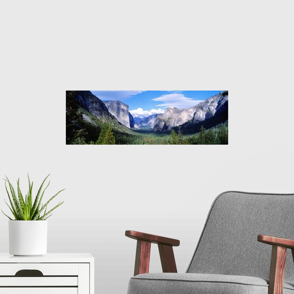 A modern room featuring Wide angle photograph of tree tops in a valley surrounded by mountains, beneath a blue sky, in Yo...