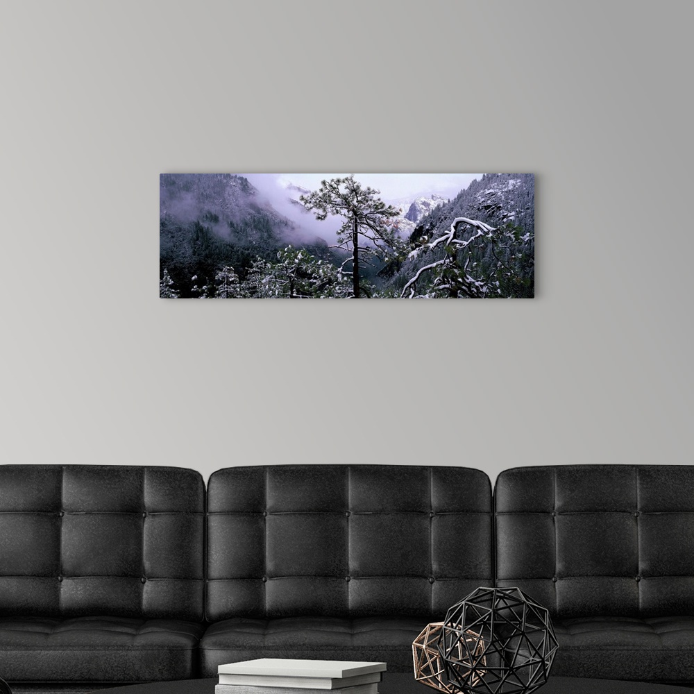 A modern room featuring Yosemite Valley in Winter Yosemite National Park California
