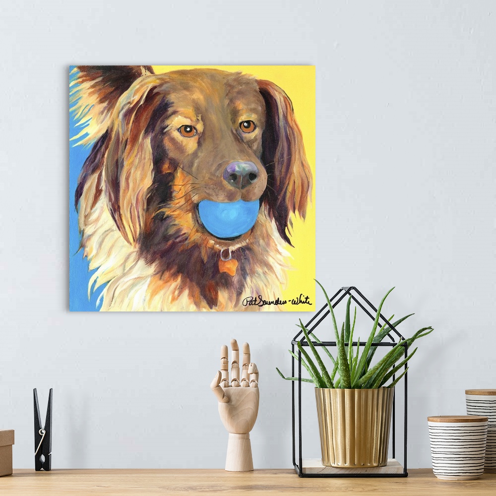 A bohemian room featuring brown dog with blue ball