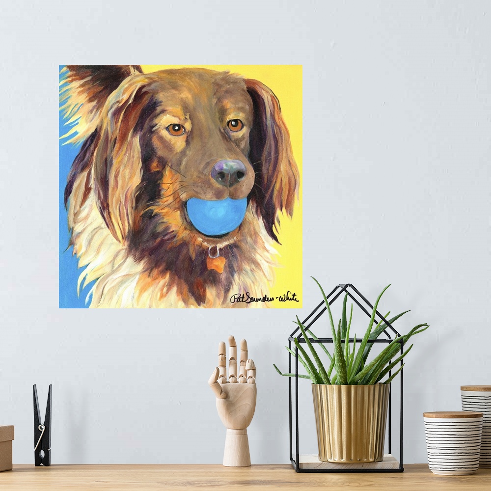 A bohemian room featuring brown dog with blue ball