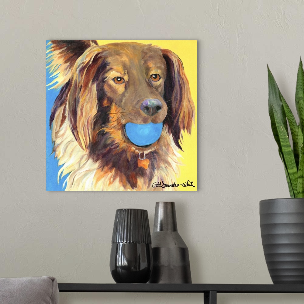 A modern room featuring brown dog with blue ball