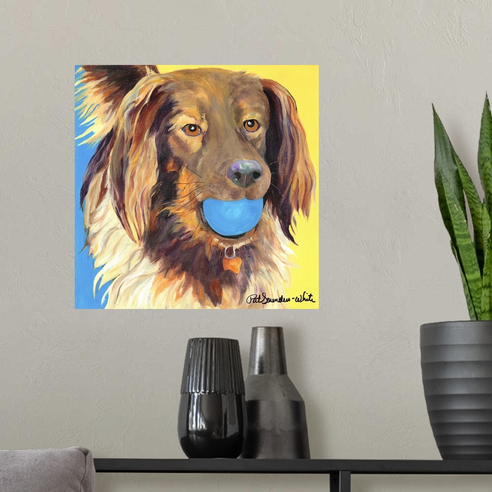 A modern room featuring brown dog with blue ball
