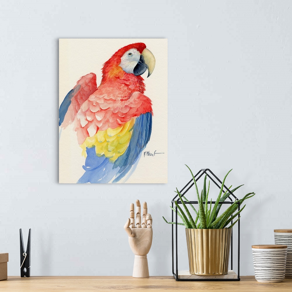 A bohemian room featuring Watercolor painting of a scarlet macaw parrot.