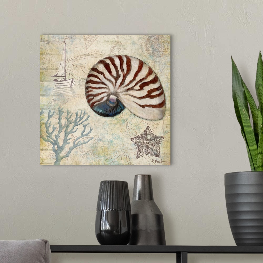 A modern room featuring Decorative panel made of different nautical elements including a nautilus shell, coral, a starfis...