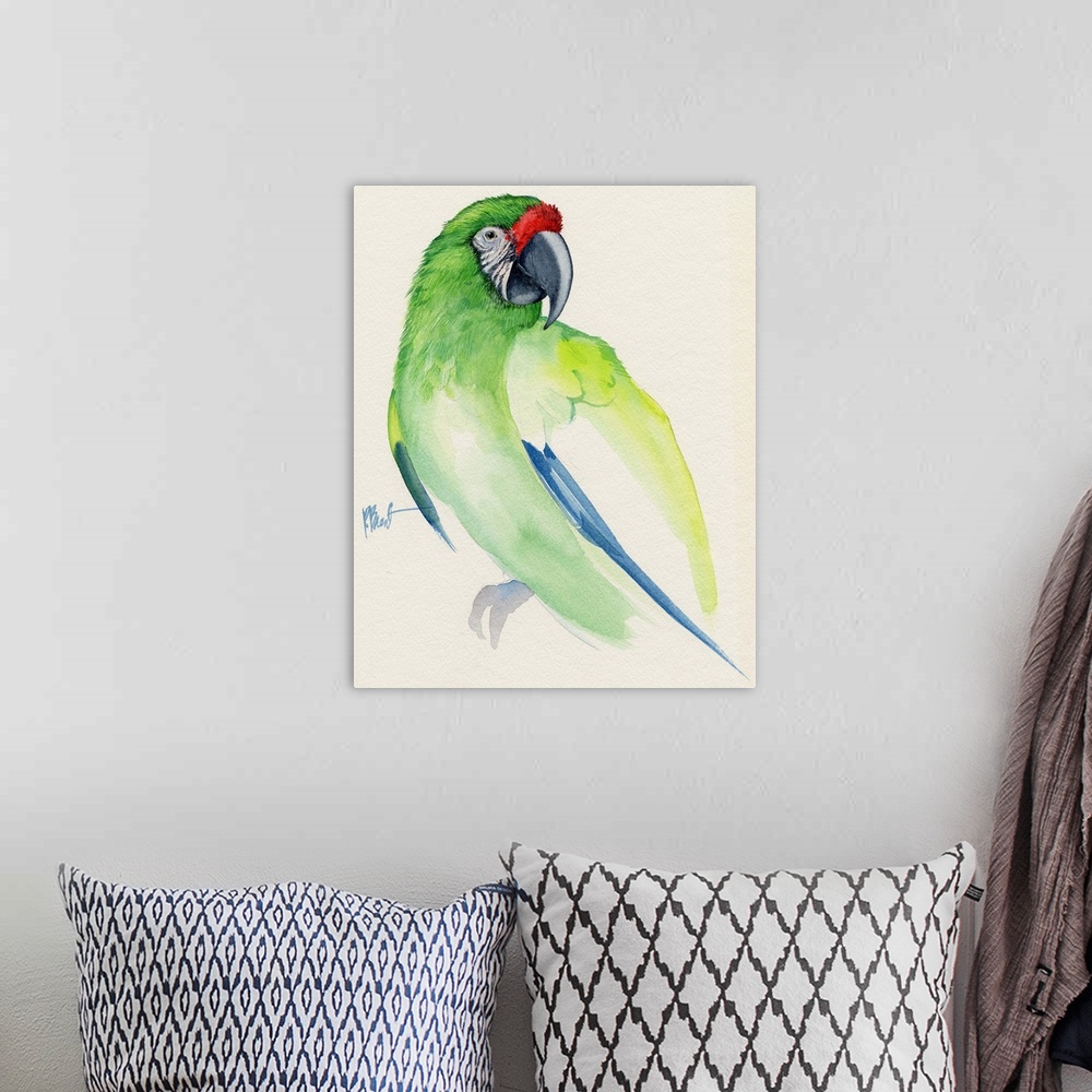A bohemian room featuring Watercolor painting of a Buffon's macaw parrot.