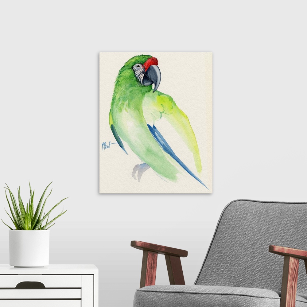 A modern room featuring Watercolor painting of a Buffon's macaw parrot.