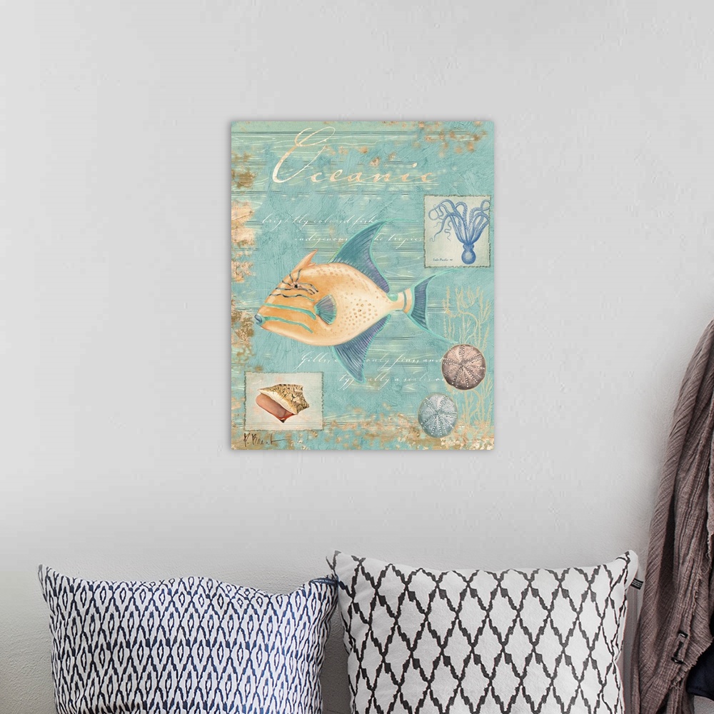 A bohemian room featuring Collage of a trigger fish and other marine elements, including shells and an octopus.