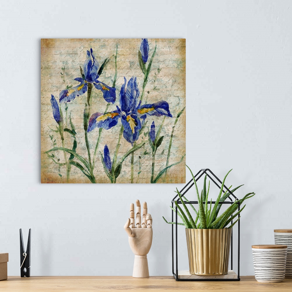 A bohemian room featuring Painting of a group of iris flowers over antique paper with faded handwriting.