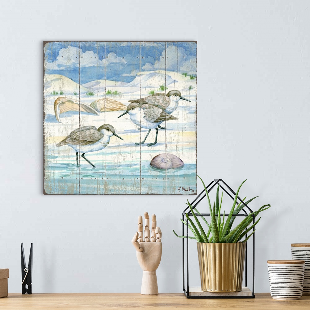 A bohemian room featuring Square painting of sandpipers on the shore with shells all around them and dunes in the background.