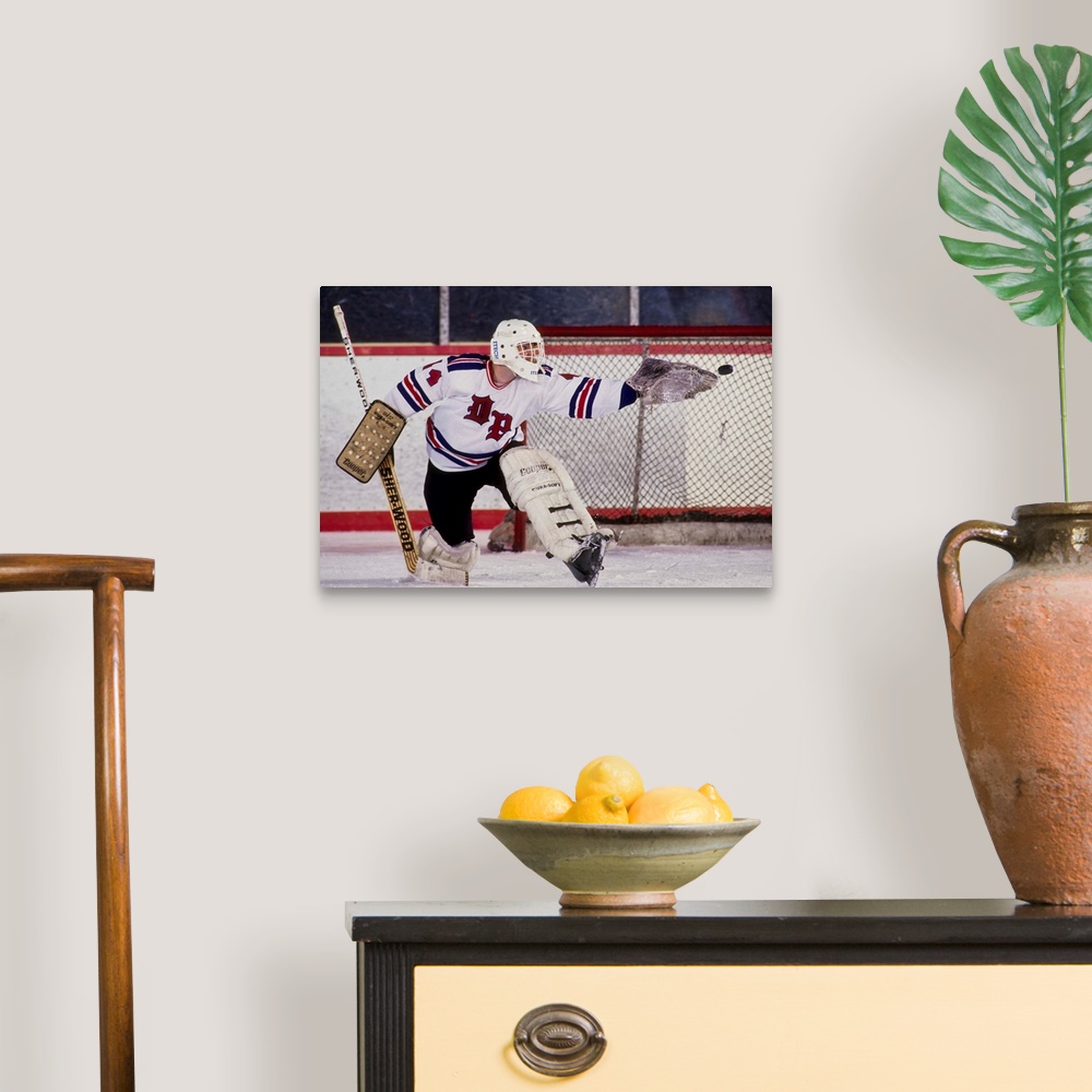 A traditional room featuring Ice Hockey goalie in action