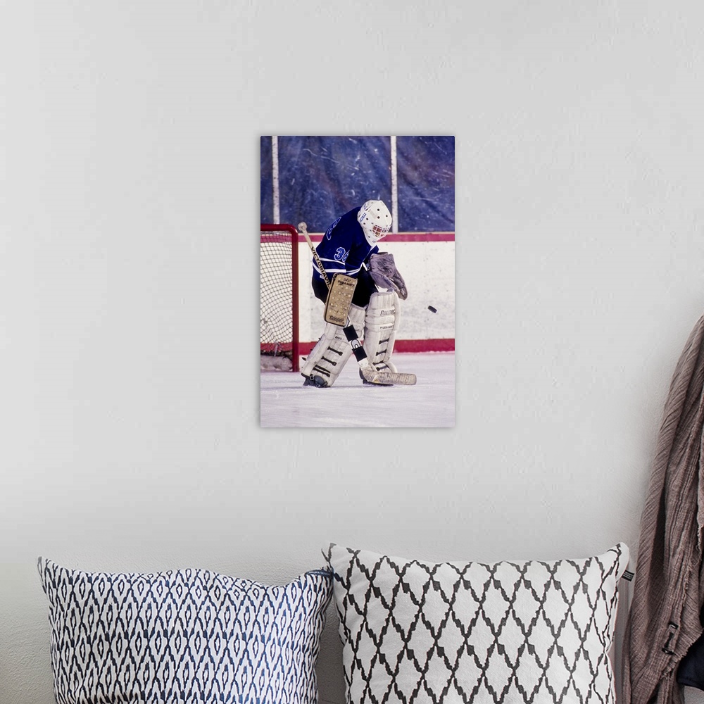 A bohemian room featuring Ice Hockey goalie in action