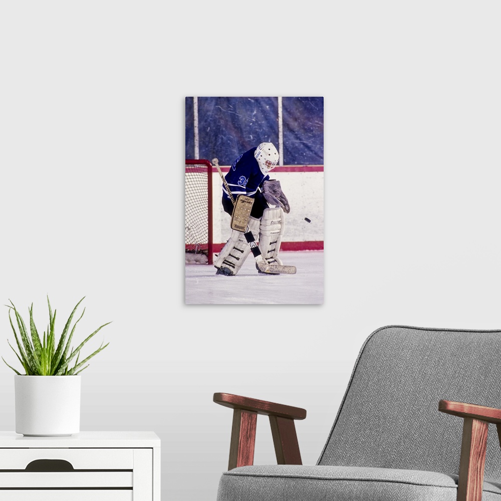 A modern room featuring Ice Hockey goalie in action