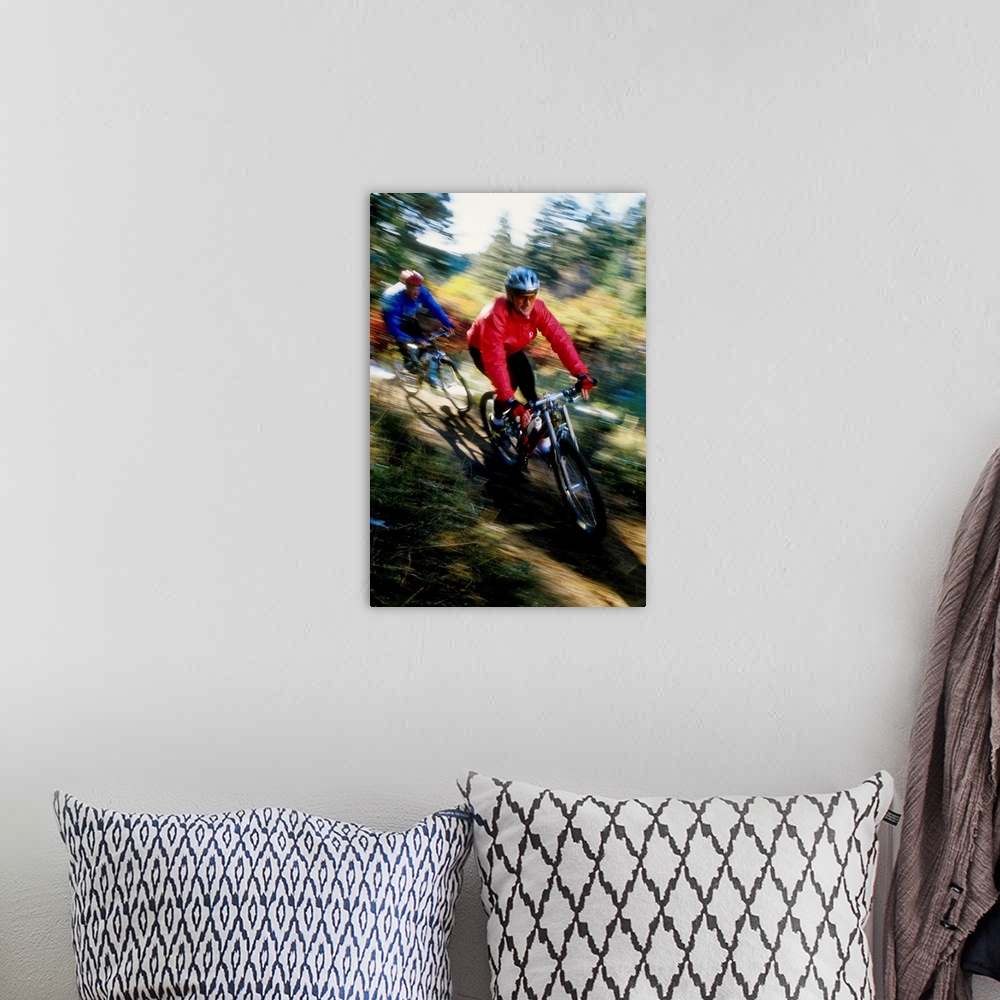 A bohemian room featuring Recreational mountain biker riding on the trails