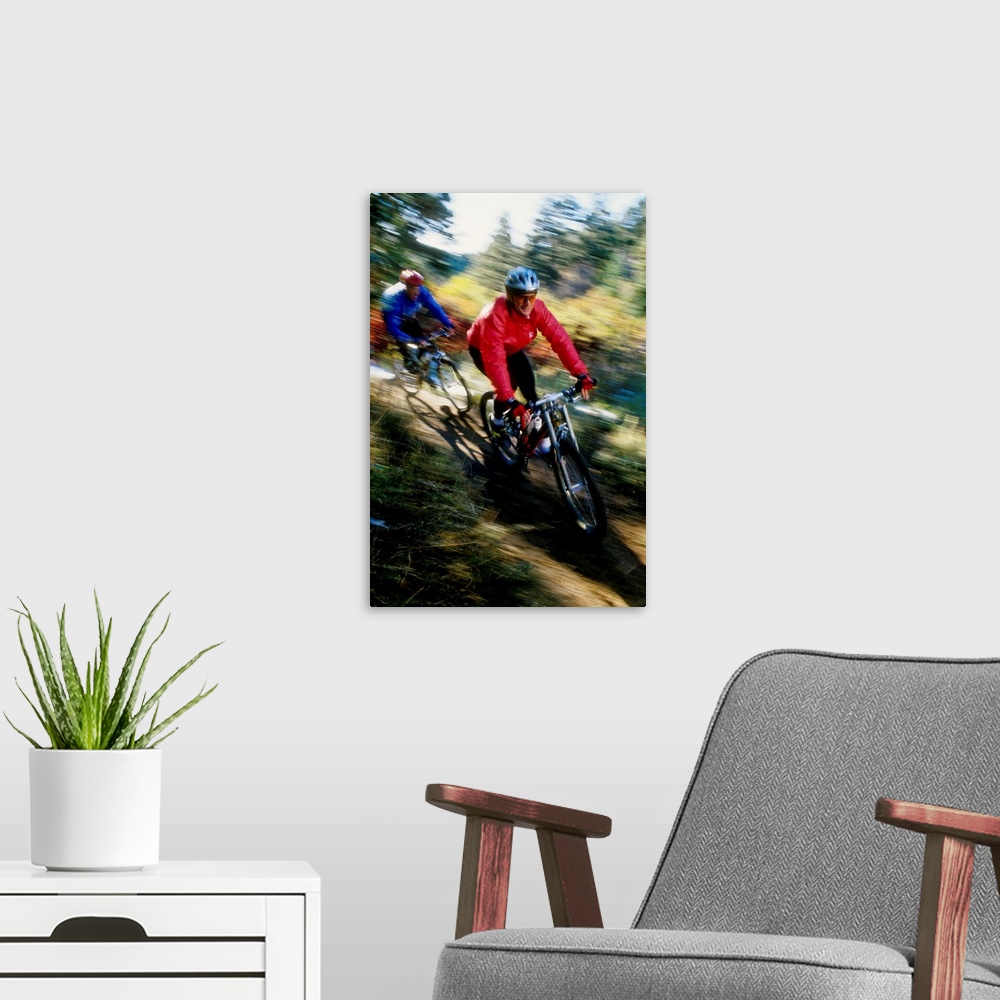 A modern room featuring Recreational mountain biker riding on the trails