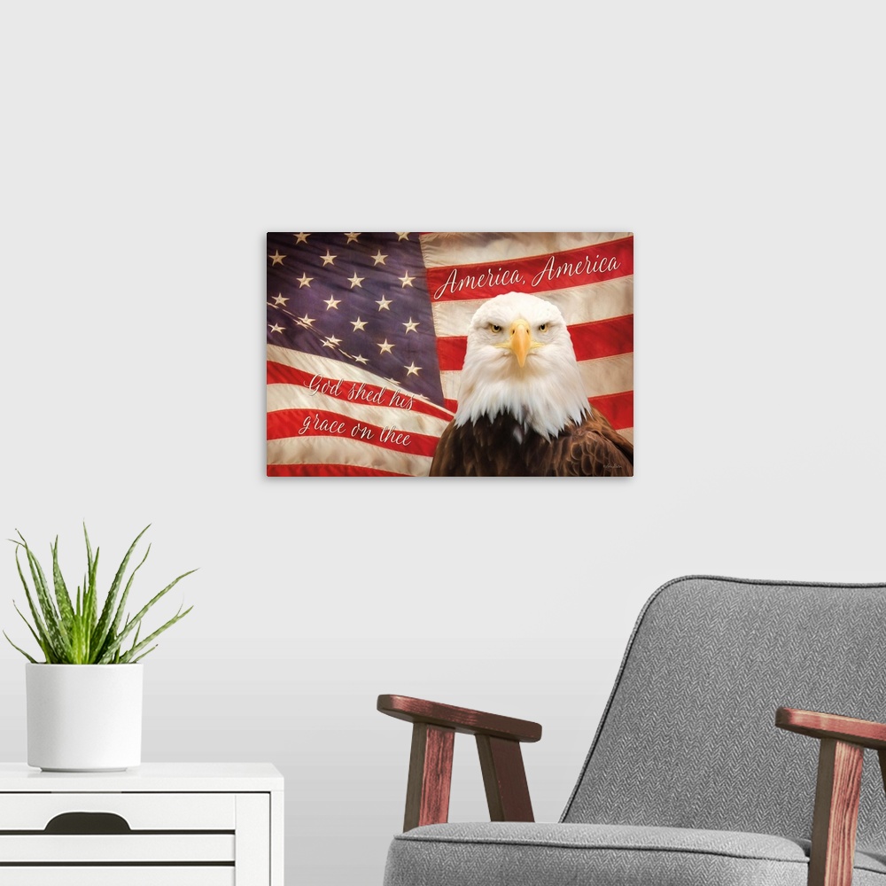 A modern room featuring American Eagle Flag