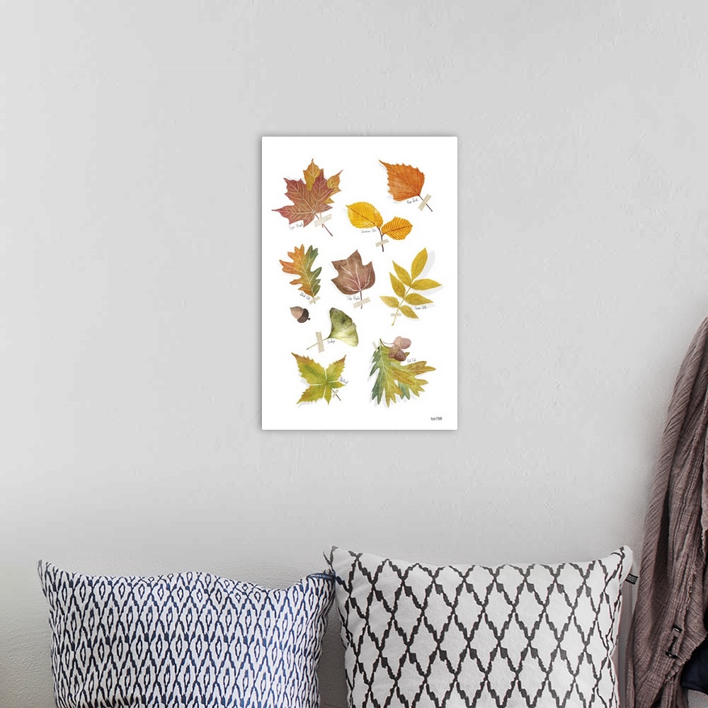 A bohemian room featuring Autumn Leaves