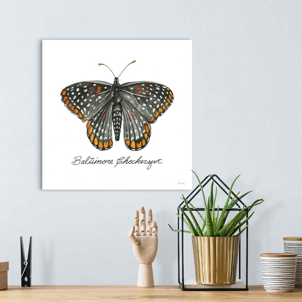 A bohemian room featuring Baltimore Checkerspot